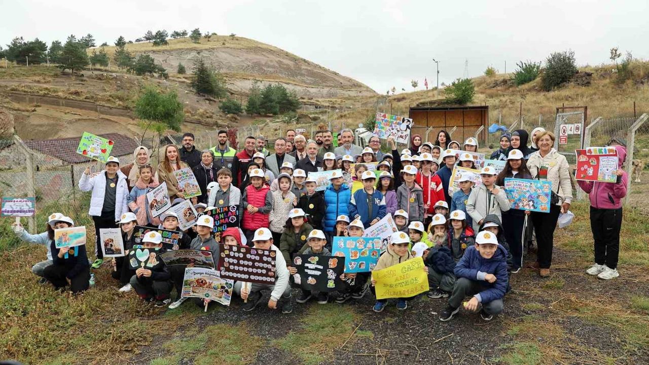 Talas Pati Evi'nde hayvanları koruma günü: doğal yaşam ön plana çıktı