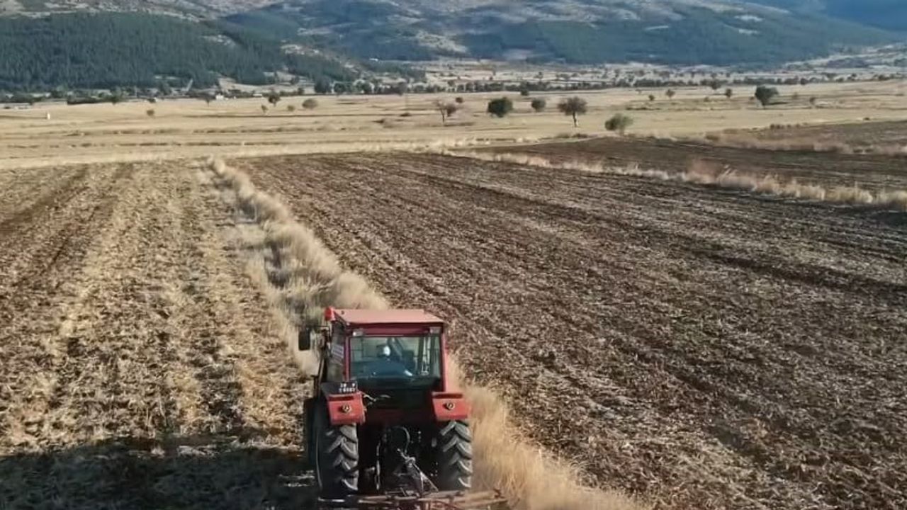 Tavas'ta 480 dekarda arpa ve çörek otu ekimiyle üreticiye doğrudan destek