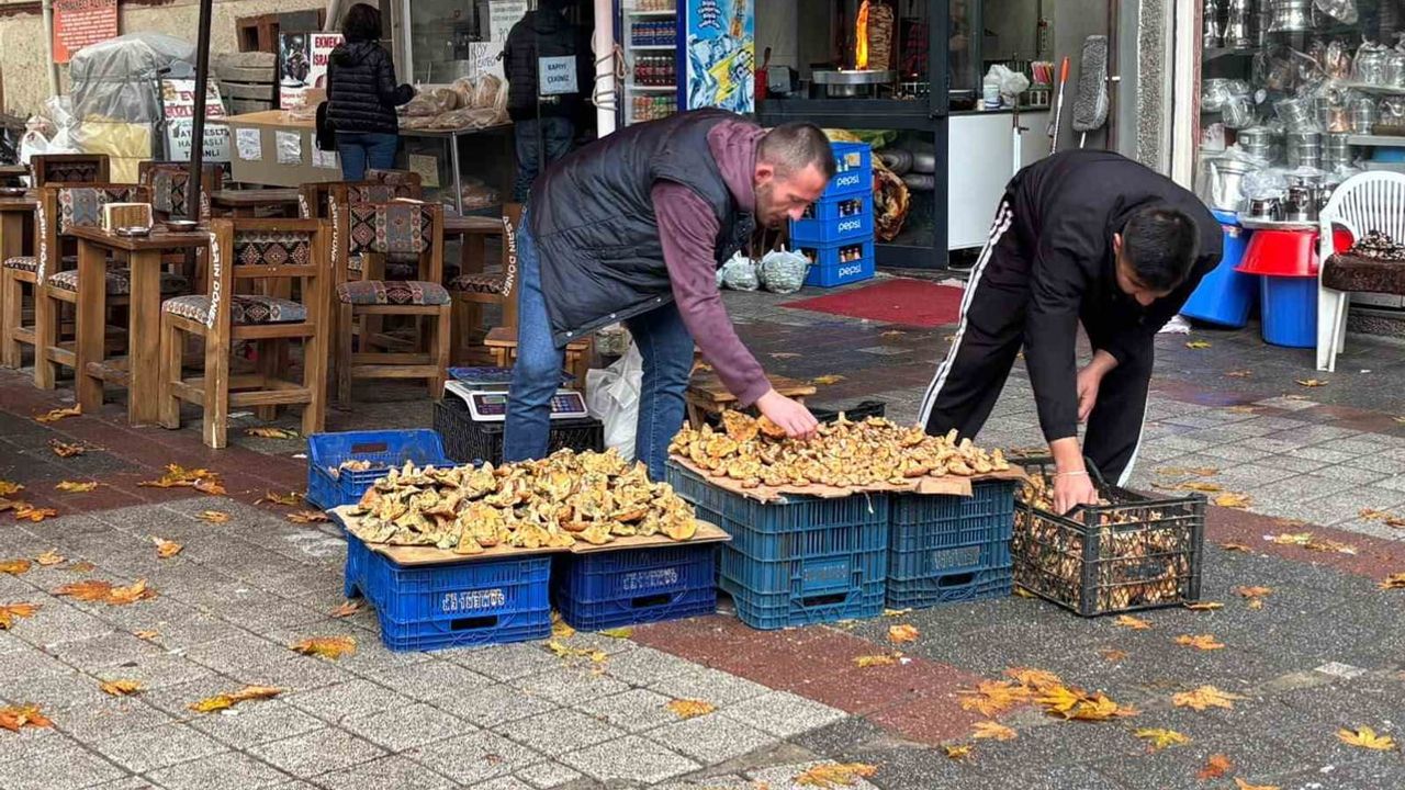 Tavşanlı'da dağ mantarı tezgâhlarda: sezon başladı