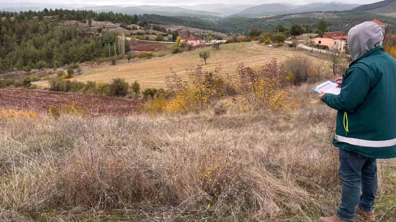 Tavşanlı'da üretici beyanları tarlada doğrulanıyor