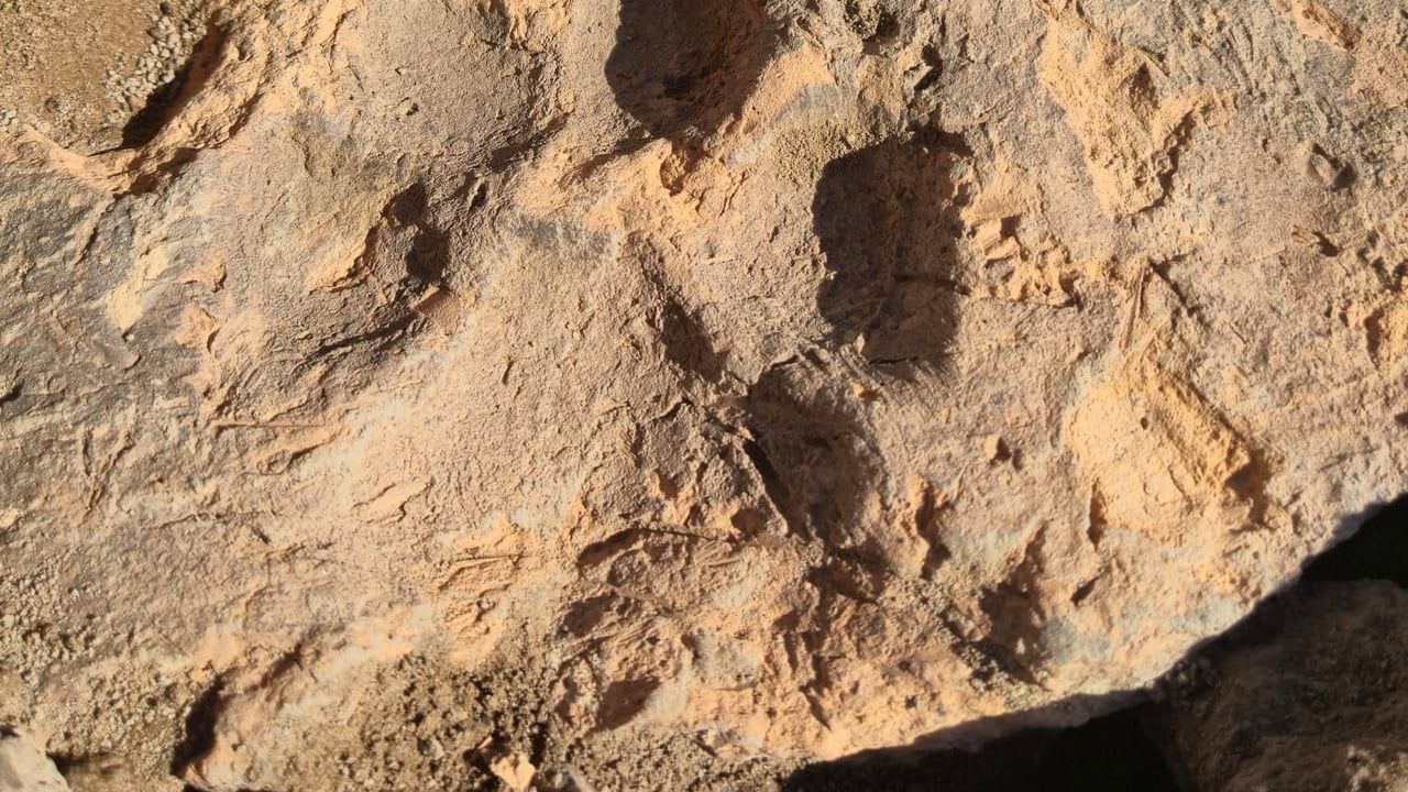 Tavşanlı Höyük'te tunç çağından kalan 4 bin yıllık köpek pati izi ortaya çıktı