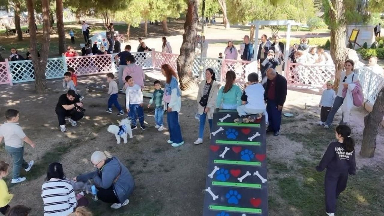 Tekirdağ'da hayvan sevgisi sahaya çıktı: TEKPATİ etkinliğinde çocuklar ve can dostlar buluştu