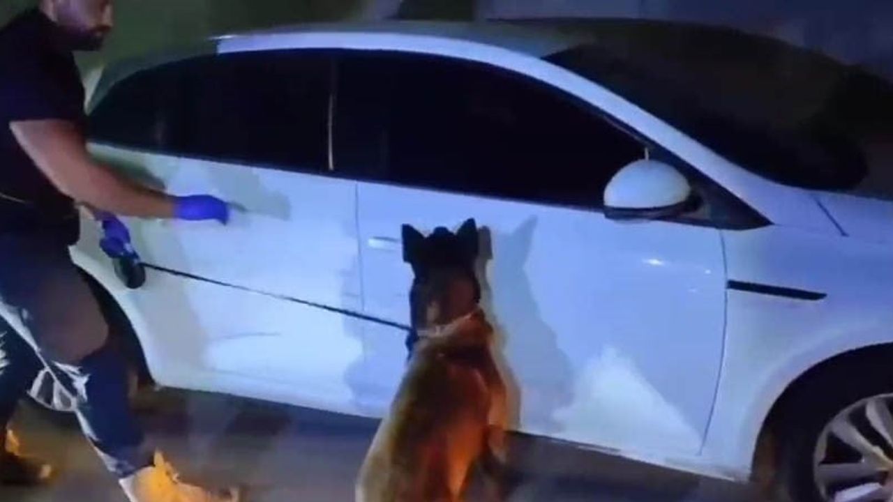 Tekirdağ'da pusetlere saklanan uyuşturucuya yönelik geniş çaplı operasyon