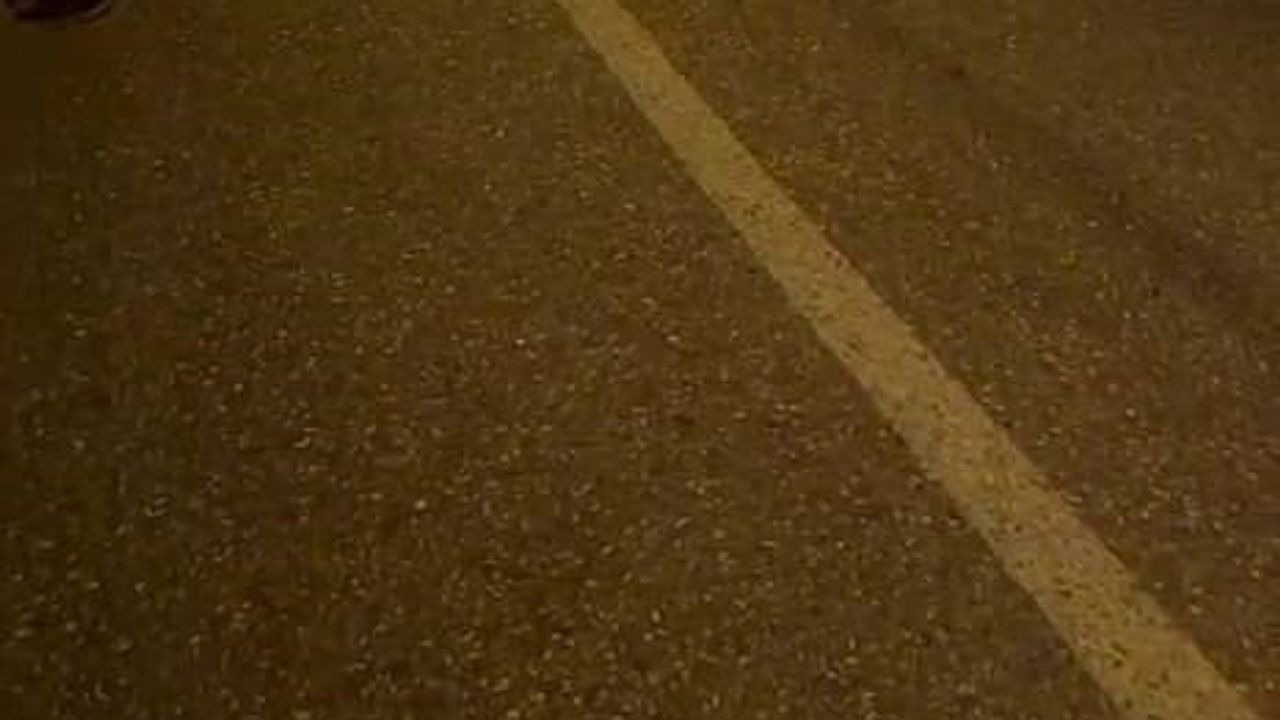 Termal dronlarla İnegöl araması: kayıp Emrah Gedik için seferberlik