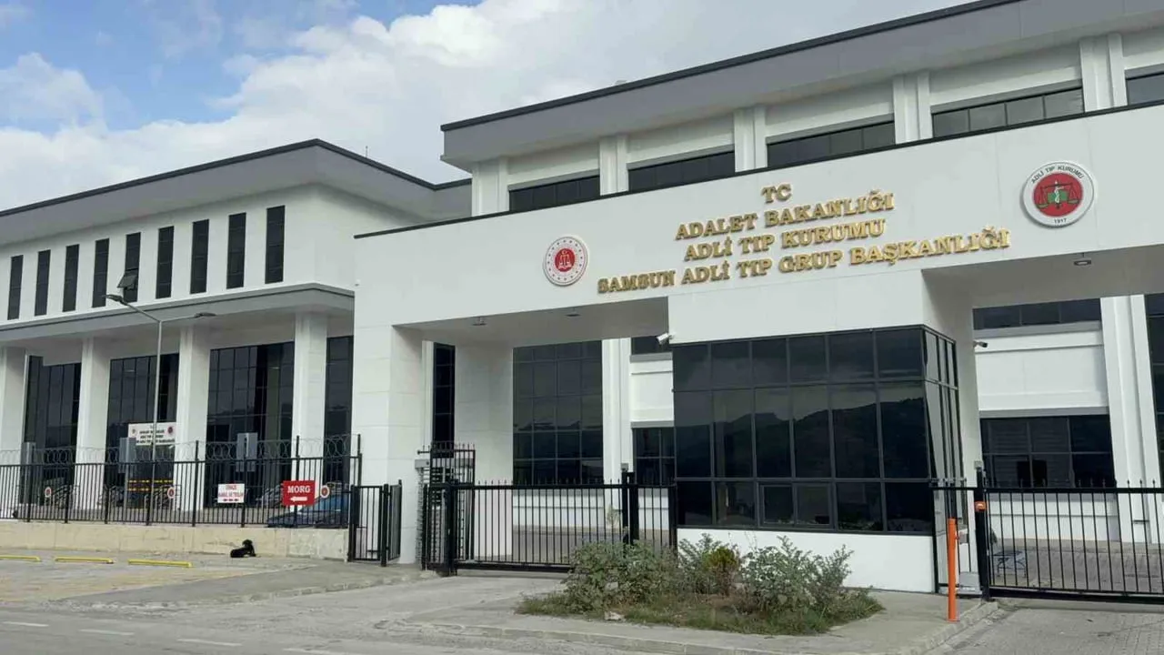 Terme'de dedesinin kullandığı araç çarpması sonucu 2,5 yaşındaki çocuk hayatını kaybetti