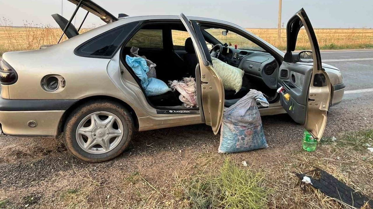 TİGEM bahçesinde 75 kilo fıstıkla dört şüpheli suçüstü yakalandı