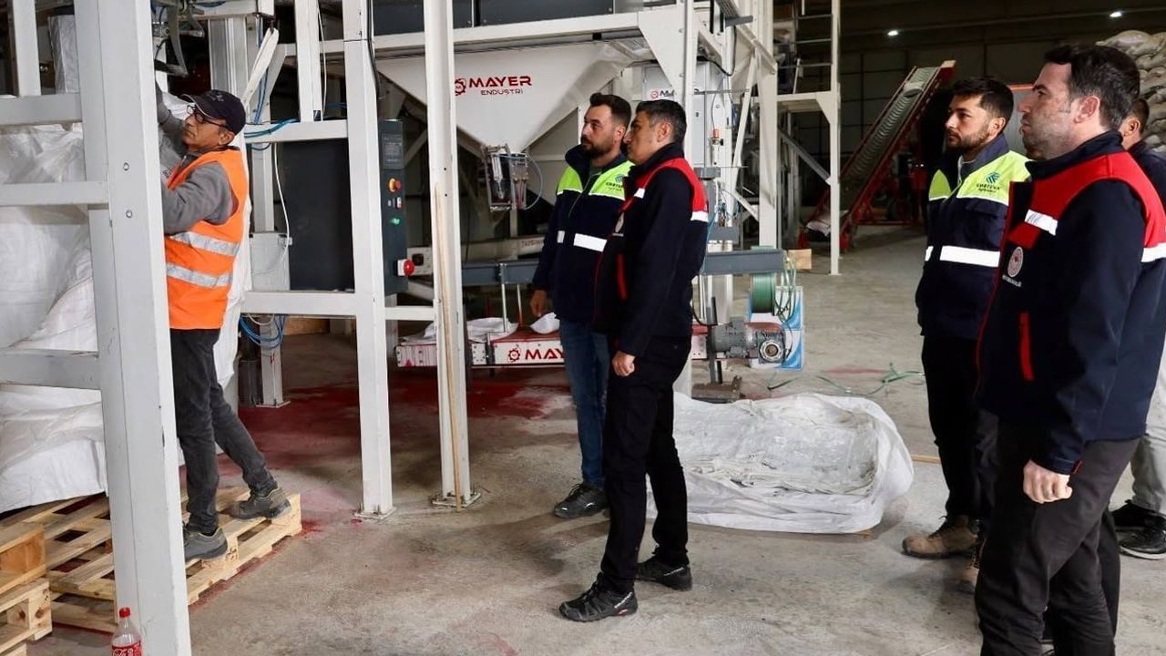 Tohumluk ayçiçeği üretiminde saha incelemesi: ön eleme tesisinde süreçler takip ediliyor