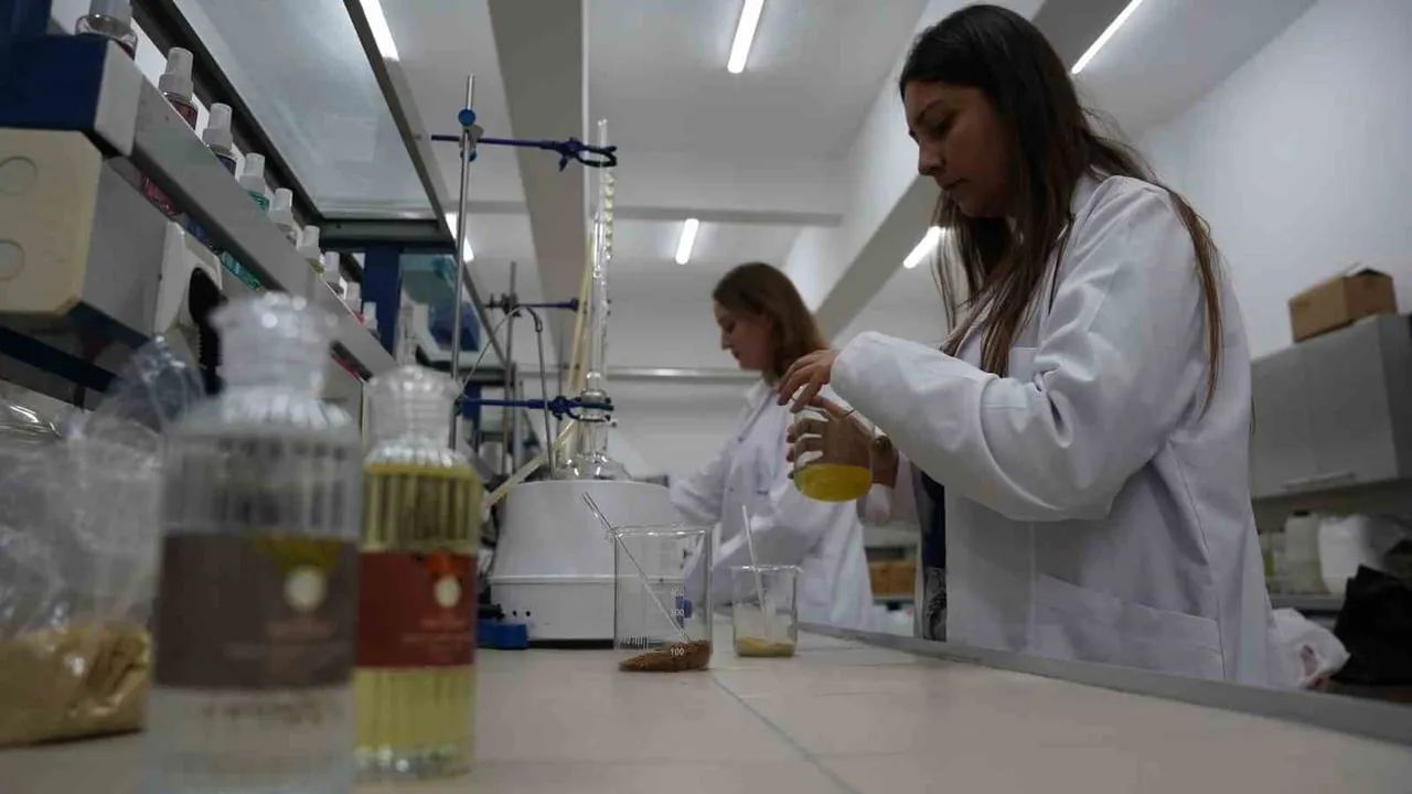 Tokat'ın yerel aromaları laboratuvarda kolonyaya dönüştü