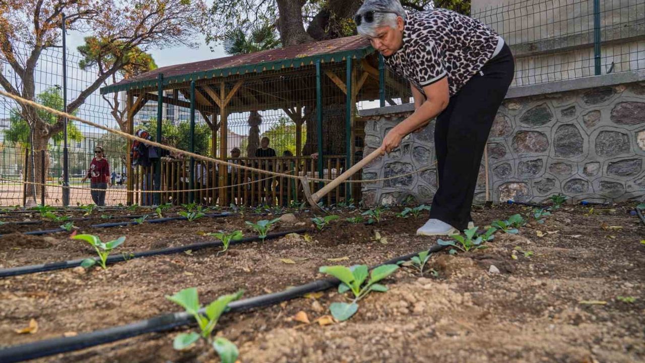 Toprakla yeniden kurulan hayat: Sevim Hanyalı'nın bostanda başlayan iyileşme öyküsü