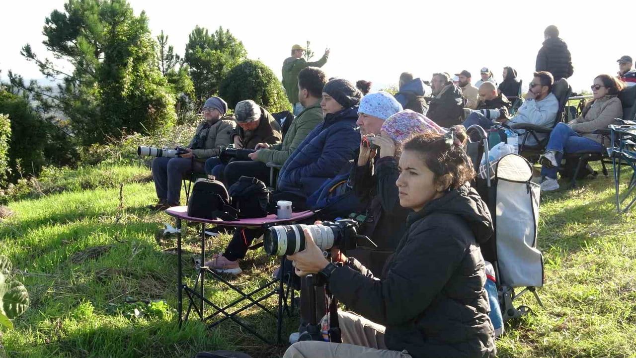 Toygartepe'de yırtıcı kuşların göçü doğaseverleri buluşturdu