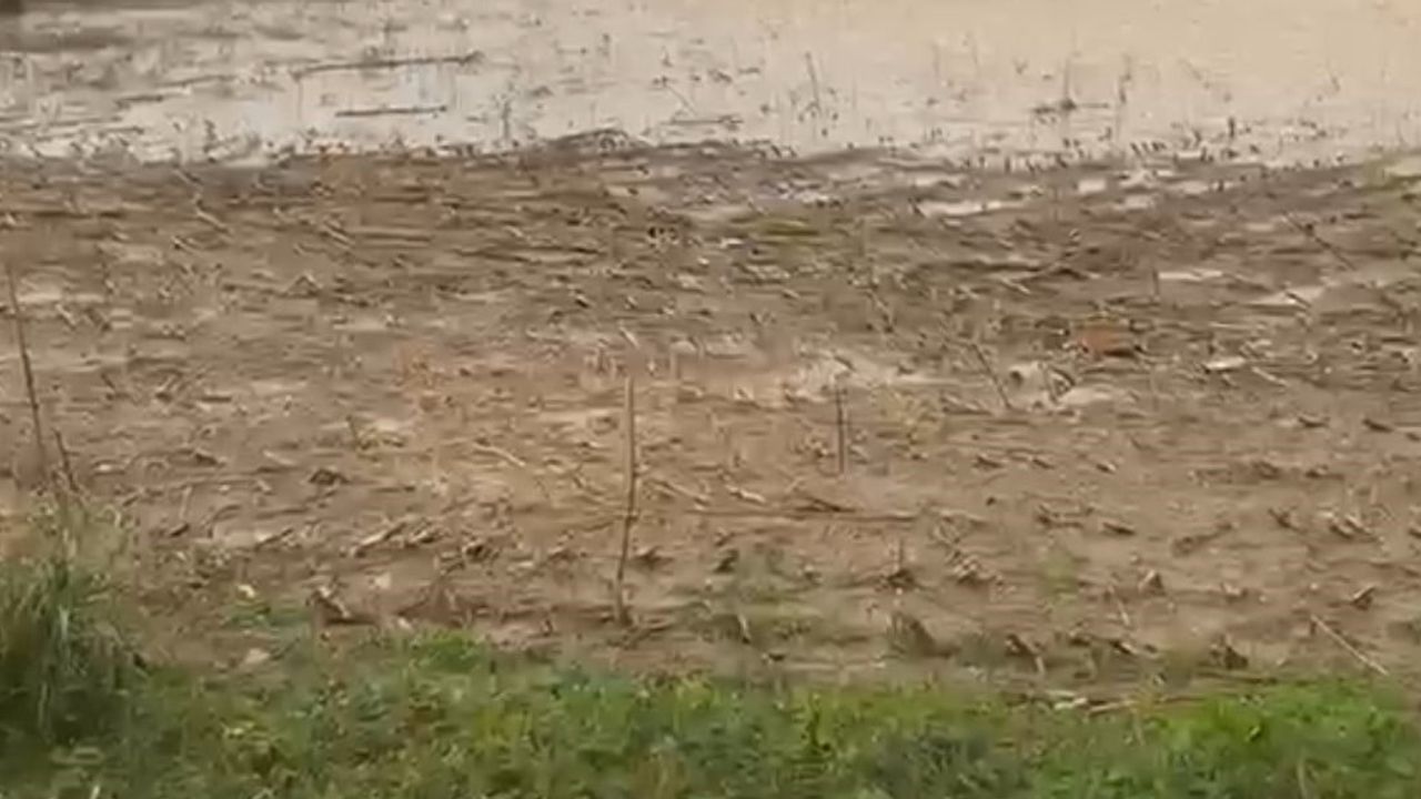 Turuncu kodlu uyarı sonrası Kaynarca'da sağanak tarım arazilerini su altında bıraktı
