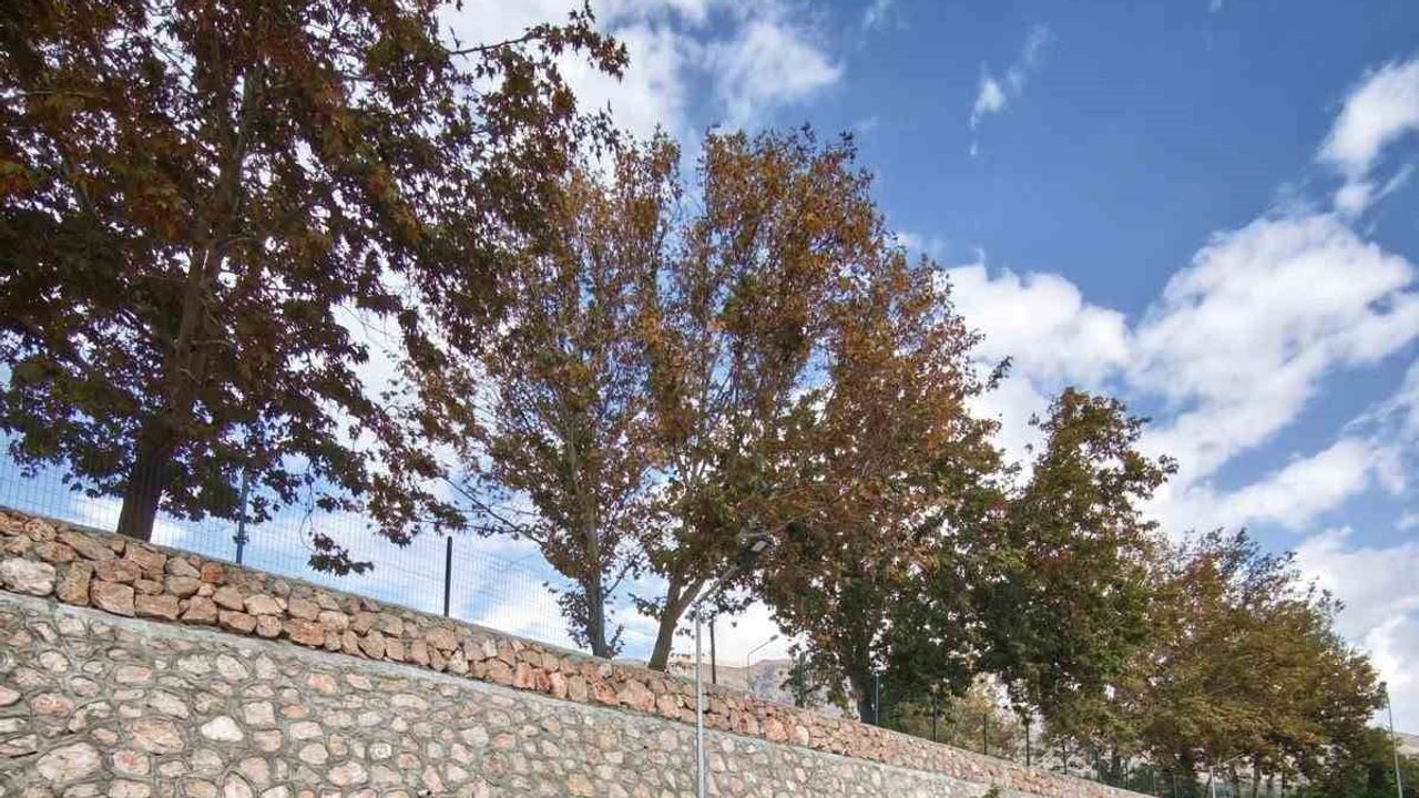 Tut'ta ortaokul öğrencilerine trafikte güvenlik eğitimi verildi