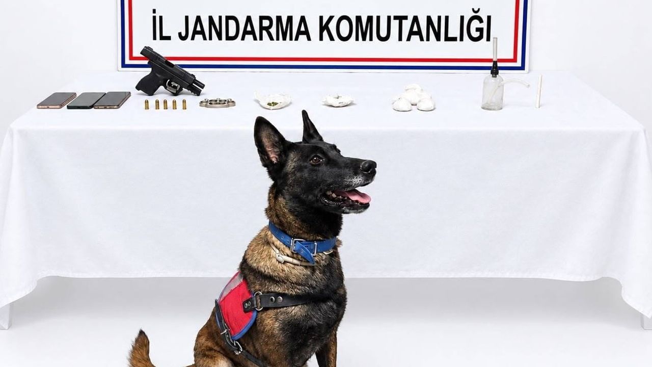 Urla'da operasyonda metamfetamin, ekstazi ve ruhsatsız tabanca ele geçirildi