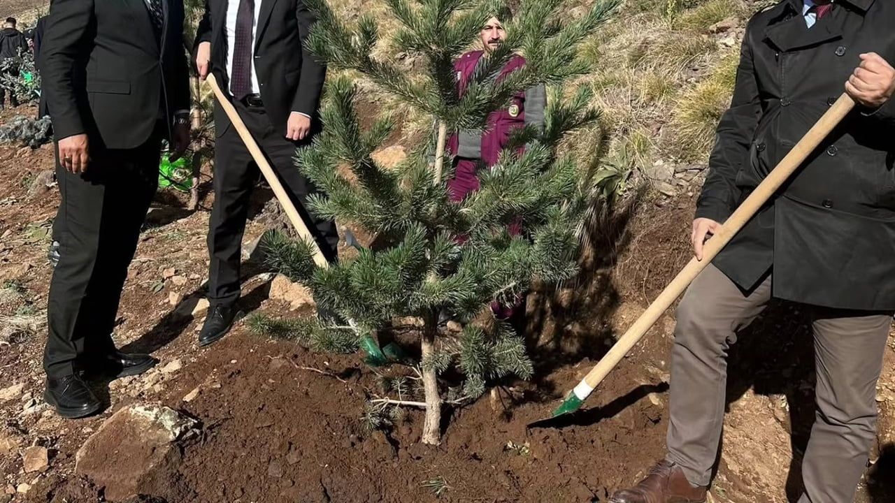 Uzlaştırma ormanı Palandöken'de 20 bin fidanla hayat buldu