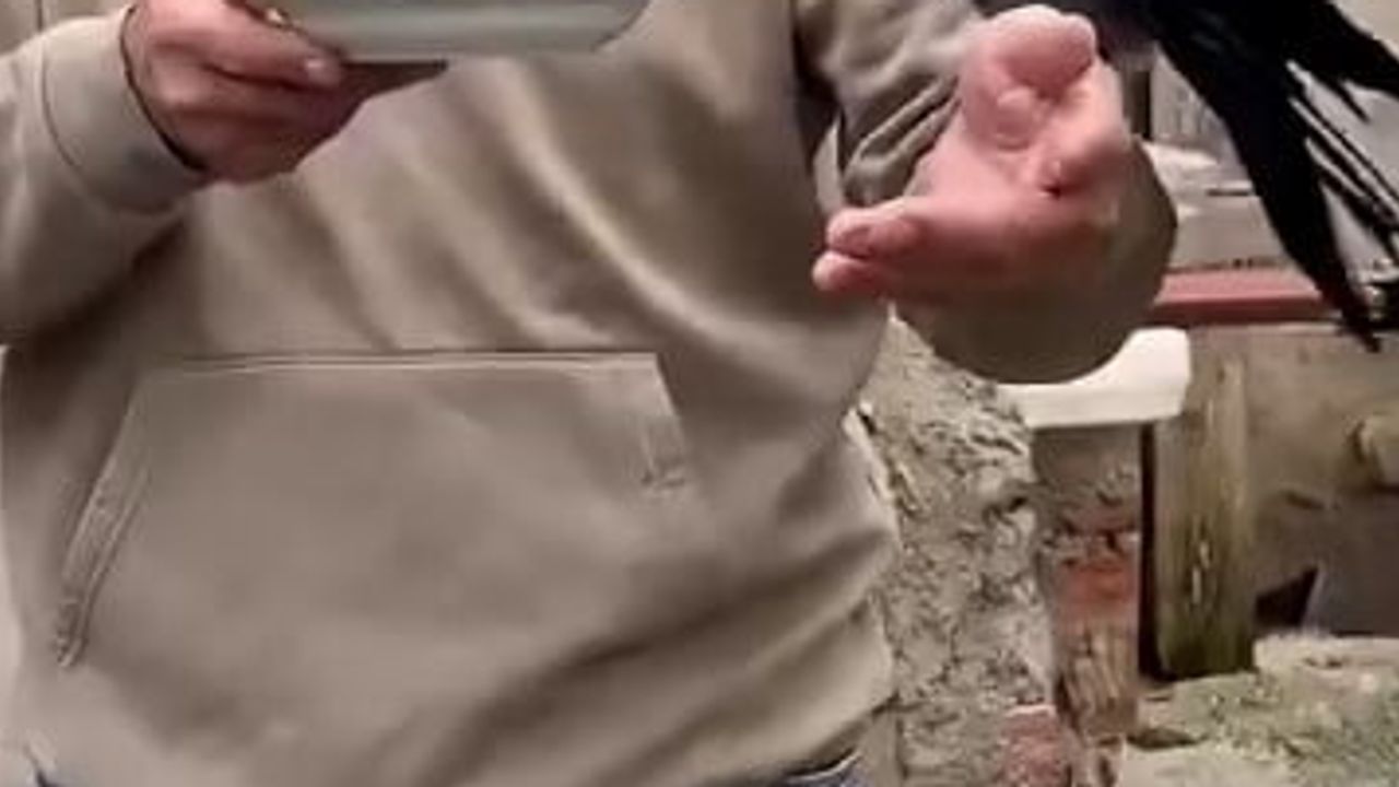 Uzun yolun yol arkadaşı: dört yıldır eliyle balık yediren karga
