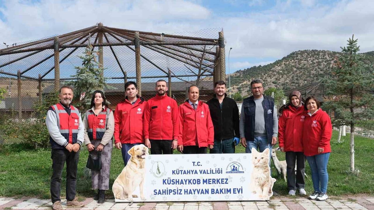 Vakıf geleneği Kütahya'da sahipsiz hayvanlara mama oldu