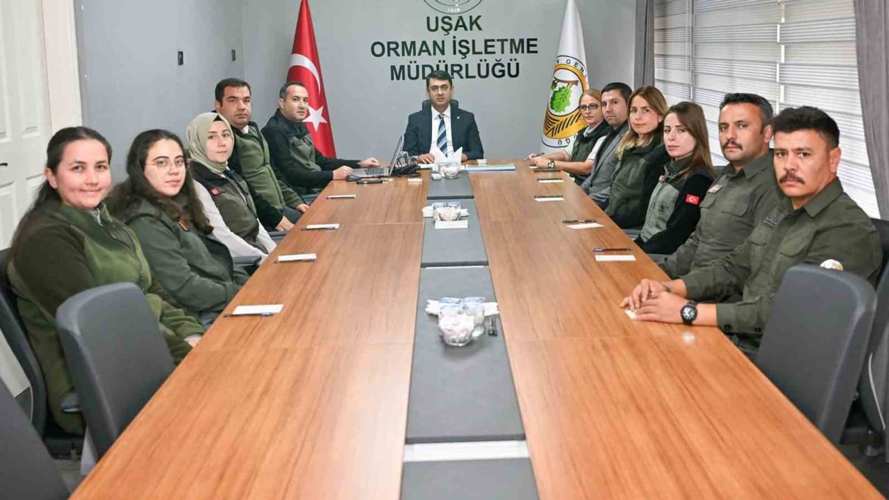 Vali Serdar Kartal'dan orman ve doğal zenginliklere yerinde değerlendirme