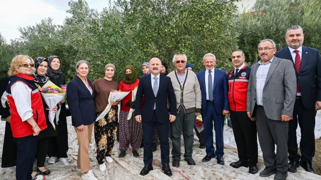 Vali Varol sahada: kadın çiftçilerle zeytin sevinci paylaşıldı