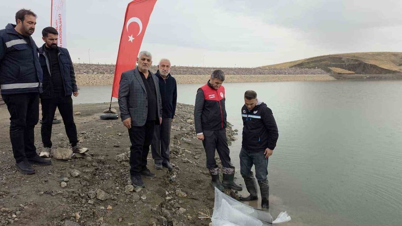 Van’da su ürünleri: yetiştiricilik, avcılık ve balıklandırmayla 25 milyon dolarlık katma değer