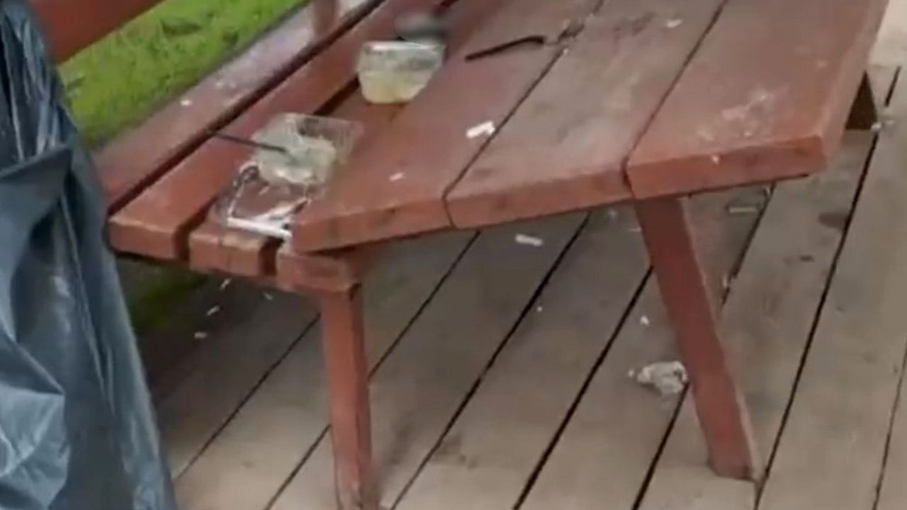 Vatandaşın kaydı Eskişehir'deki park tahribatını ve duyarsızlığı gözler önüne serdi