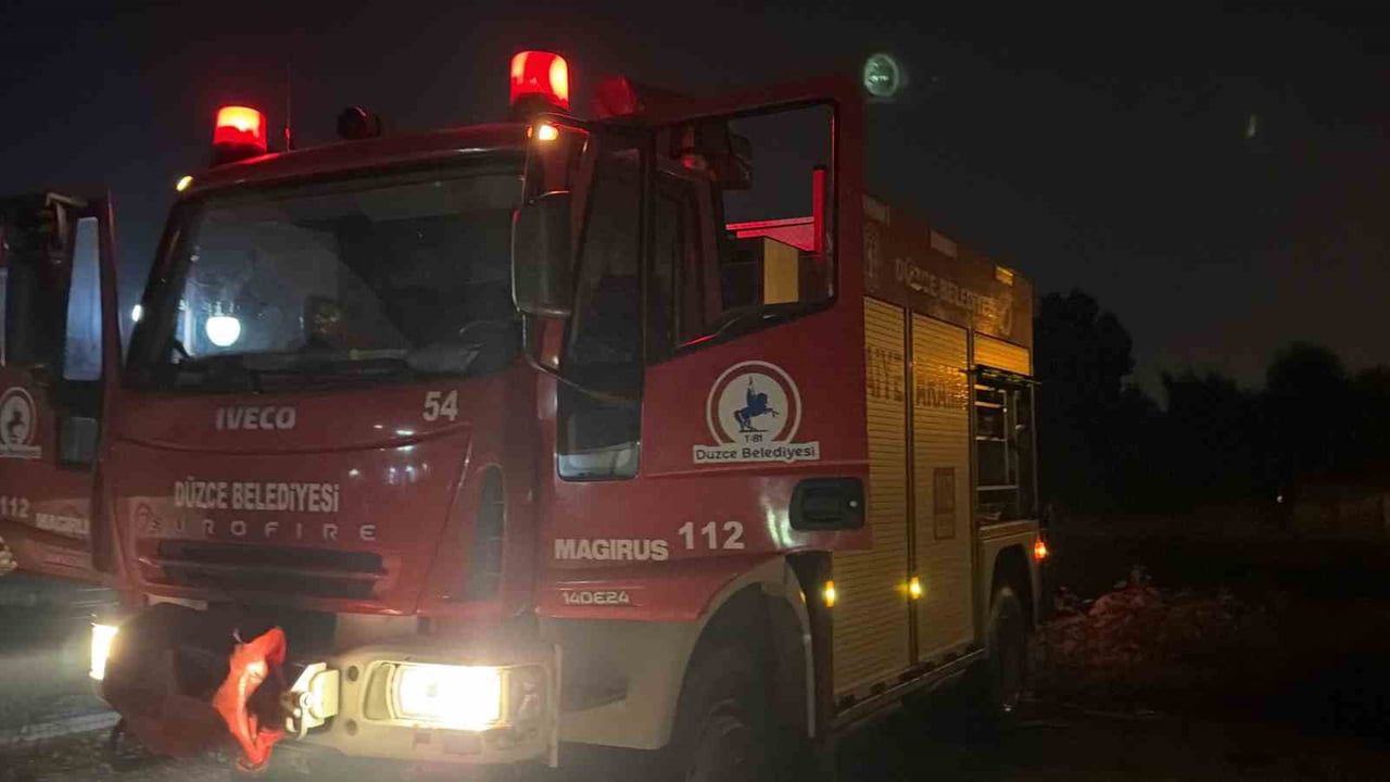 Vinçle yürütülen operasyonda eşek sahibine koştu