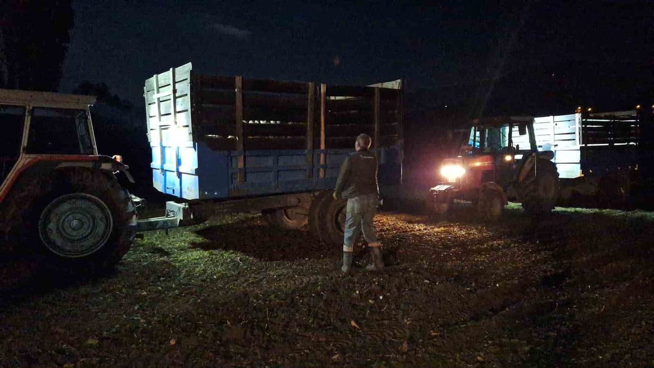 Yağış uyarısı şeker pancarı hasadını geceye taşıdı