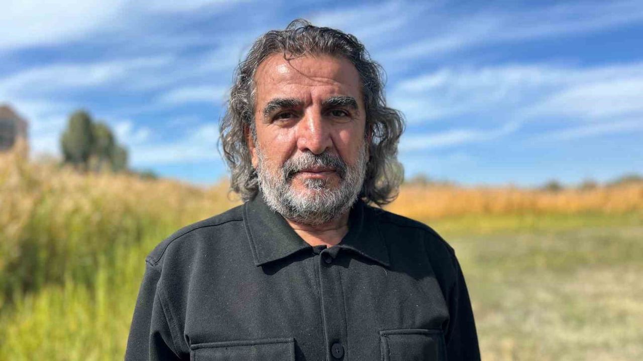 Yağışlar Van Gölü'ndeki sazlıkları canlandırdı