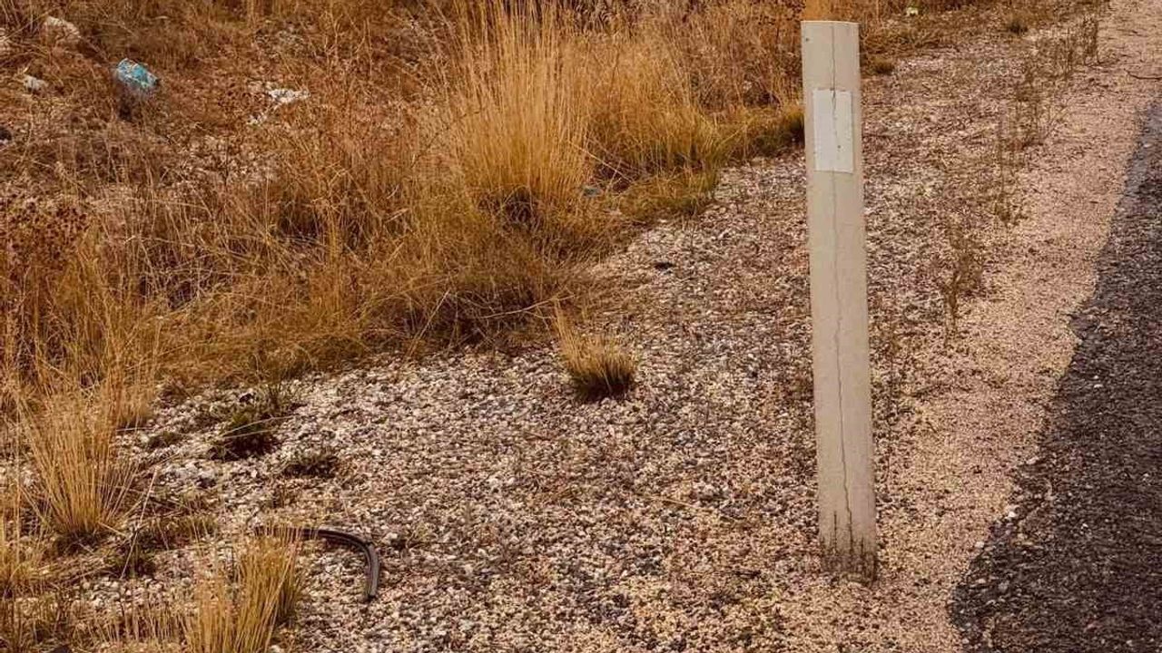 Yağışta kayan kamyon şarampole devrildi, çuvallar etrafa saçıldı