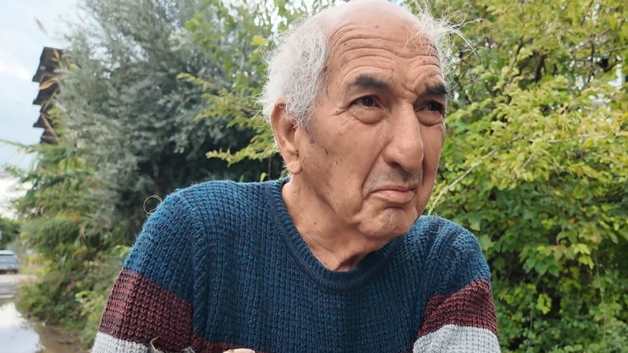 Yağmurun ardından hayat kurtaran adım: Mehmet dede yavru kedileri sudan çıkardı