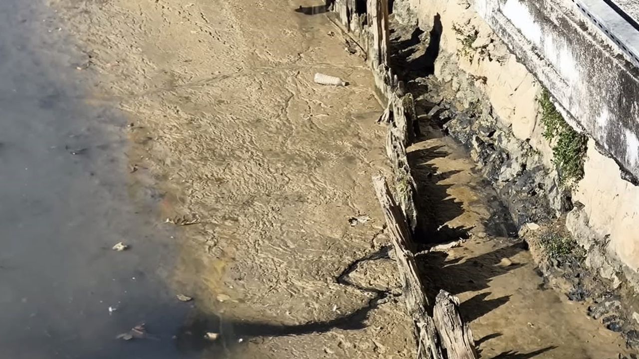 Yalova'da PTT önü deresinden itfaiyenin zorlu kurtarışı