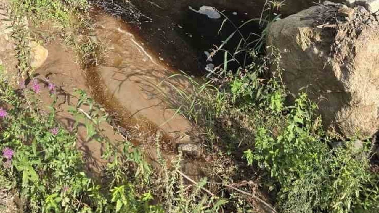 Yalova katı atık birliğine 5 milyon 34 bin lira ceza, Marmara'ya sızıntı tespit edildi