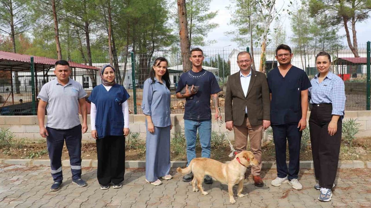 Yangından etkilenen 10 can Çilek ve Duman'a sıcak yuva buldu