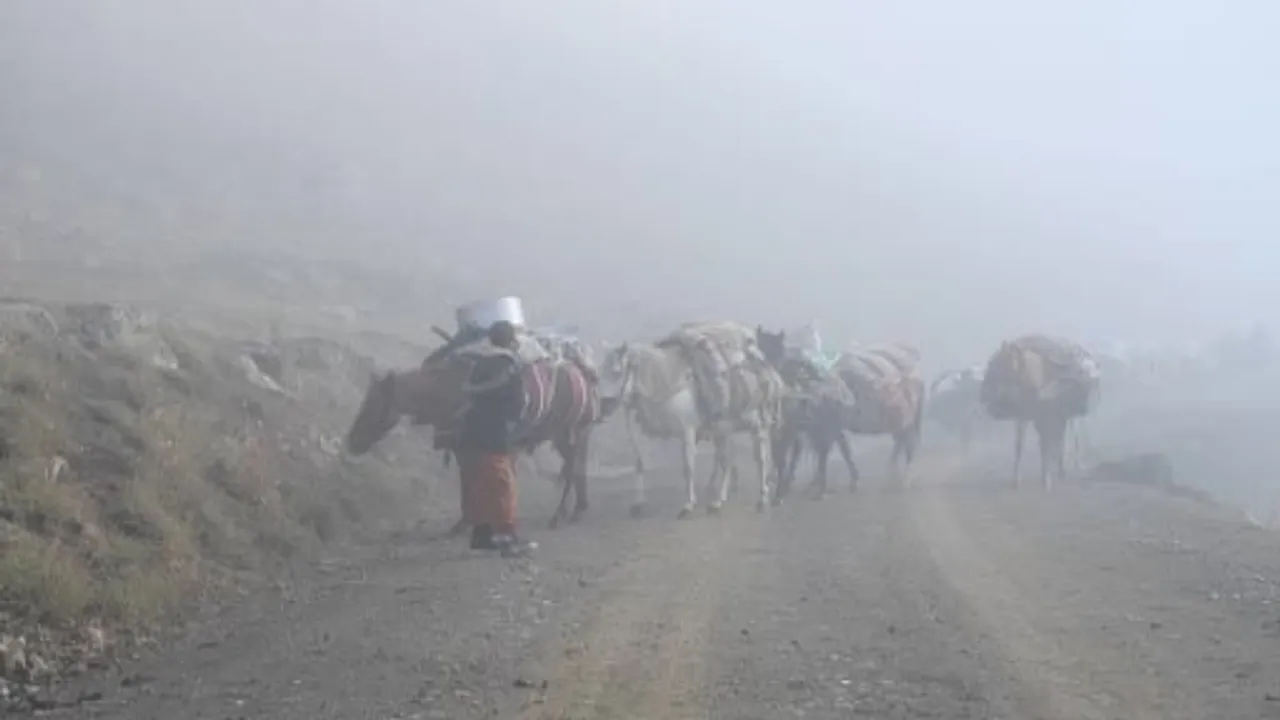 Yayladan sisle yola çıkan sürü: Şırnak'ta göçerlerin 20 günlük dönüşü