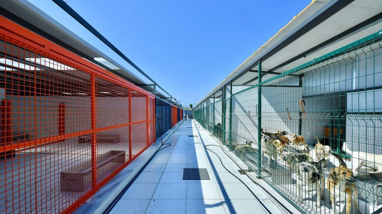 Yedikule bakımevi 5 etapta modern tedavi ve yaşam alanına dönüşüyor