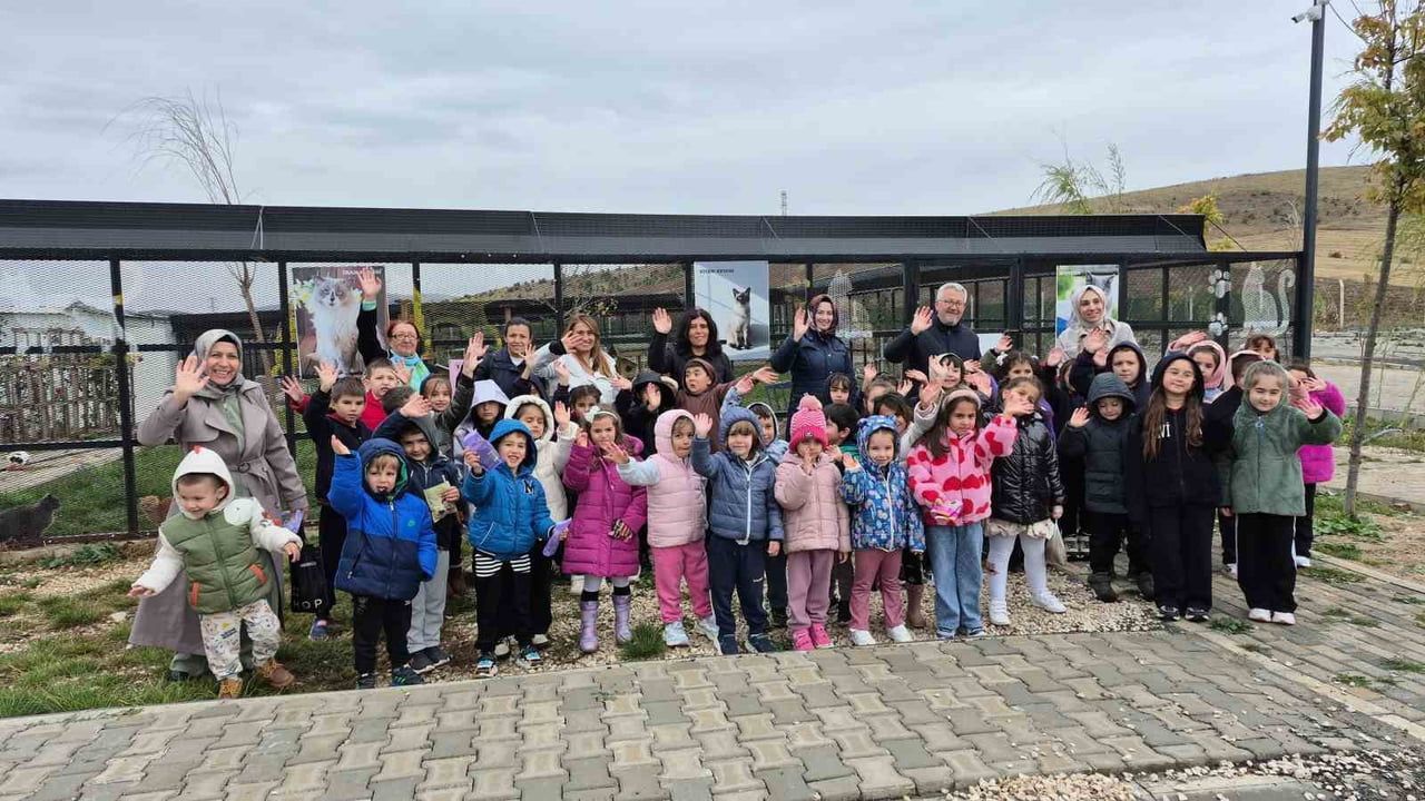 Yeni bir yaklaşım: Yozgat'ın Evcil Köy'ü hayvanlara güvenli yaşam sunuyor