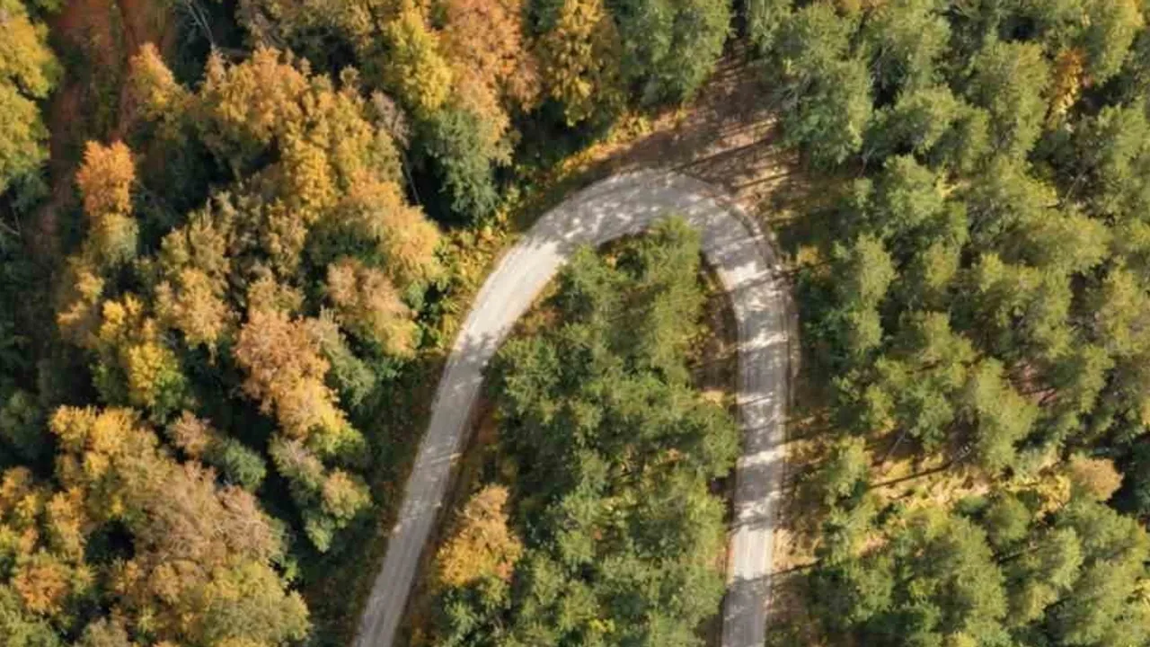Yenice ormanlarında sonbaharın renk cümbüşü