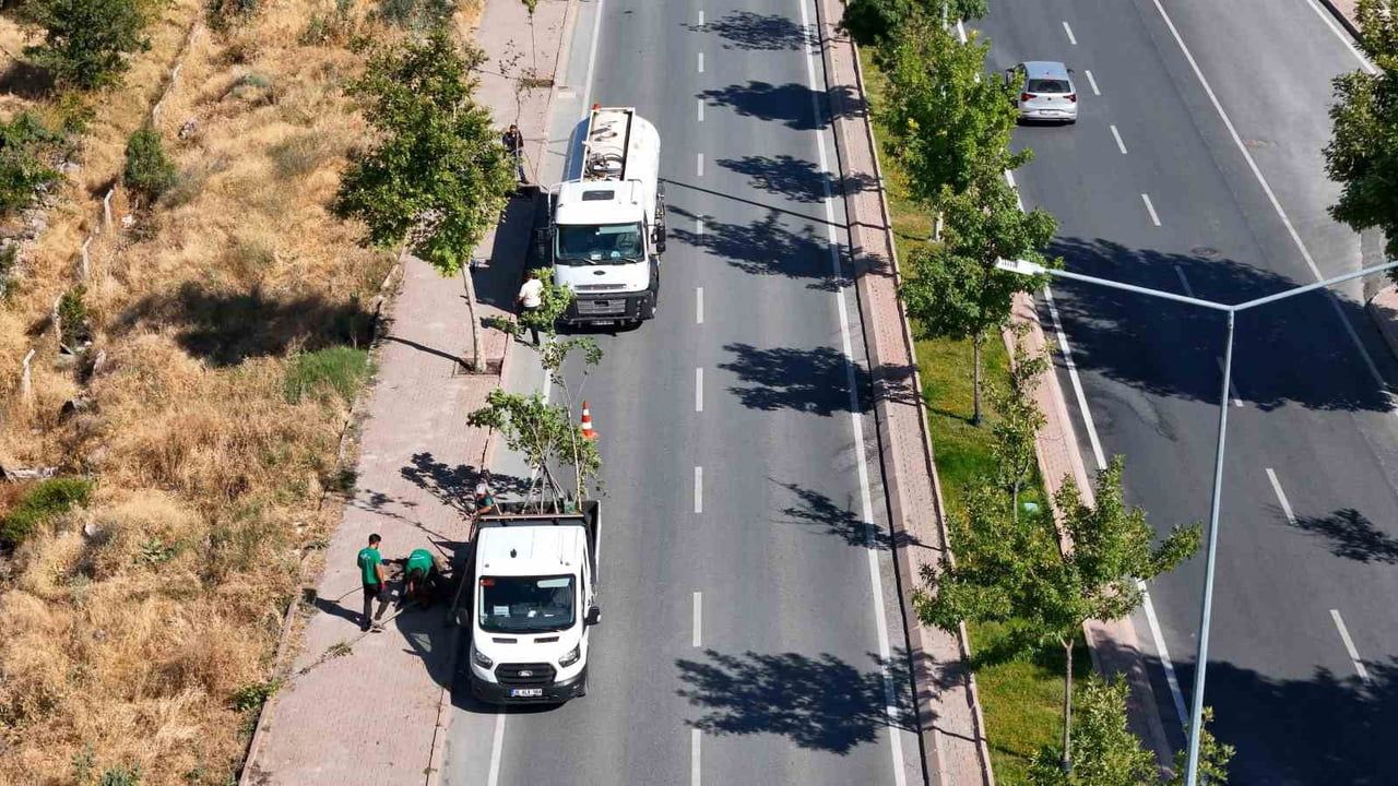 Yeşil korunuyor, ağaçlar yenileniyor: Kayseri'de sürdürülebilir dikim seferberliği