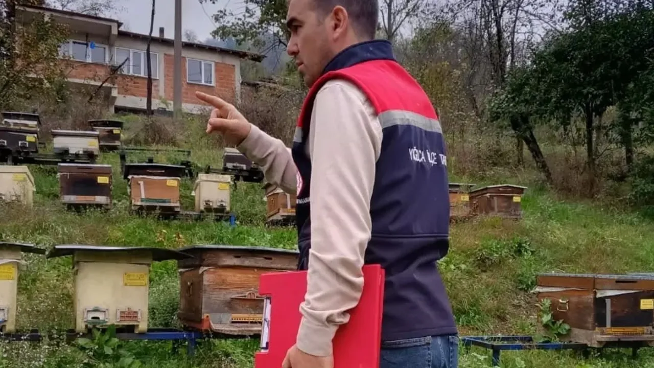 Yığılca'da arıcılık envanteri oluşturuluyor: kovanlar köy köy tespit ediliyor