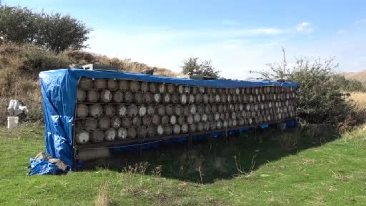 Yüksek yaylalardan sofralara: Bitlis'in ödüllü karakovan balı hasatla buluştu