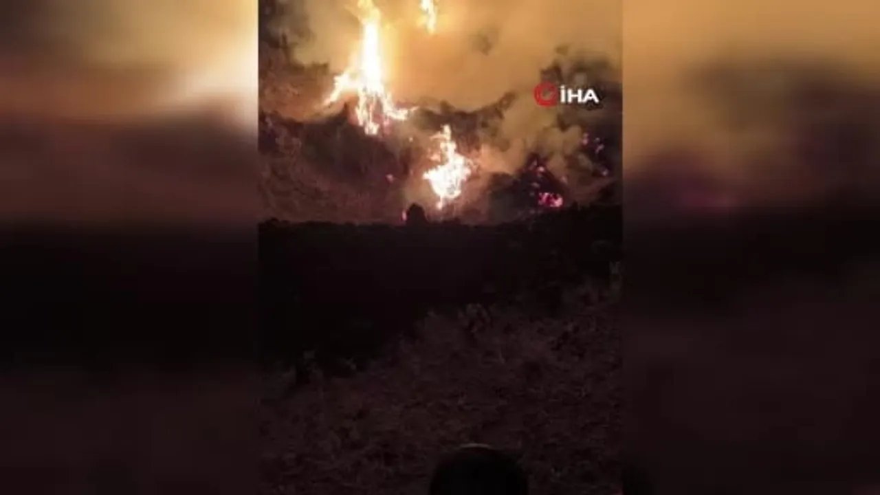 Yüksekova'da Kayakonak mezrasında alevler 5 bin bağ otunu kül etti