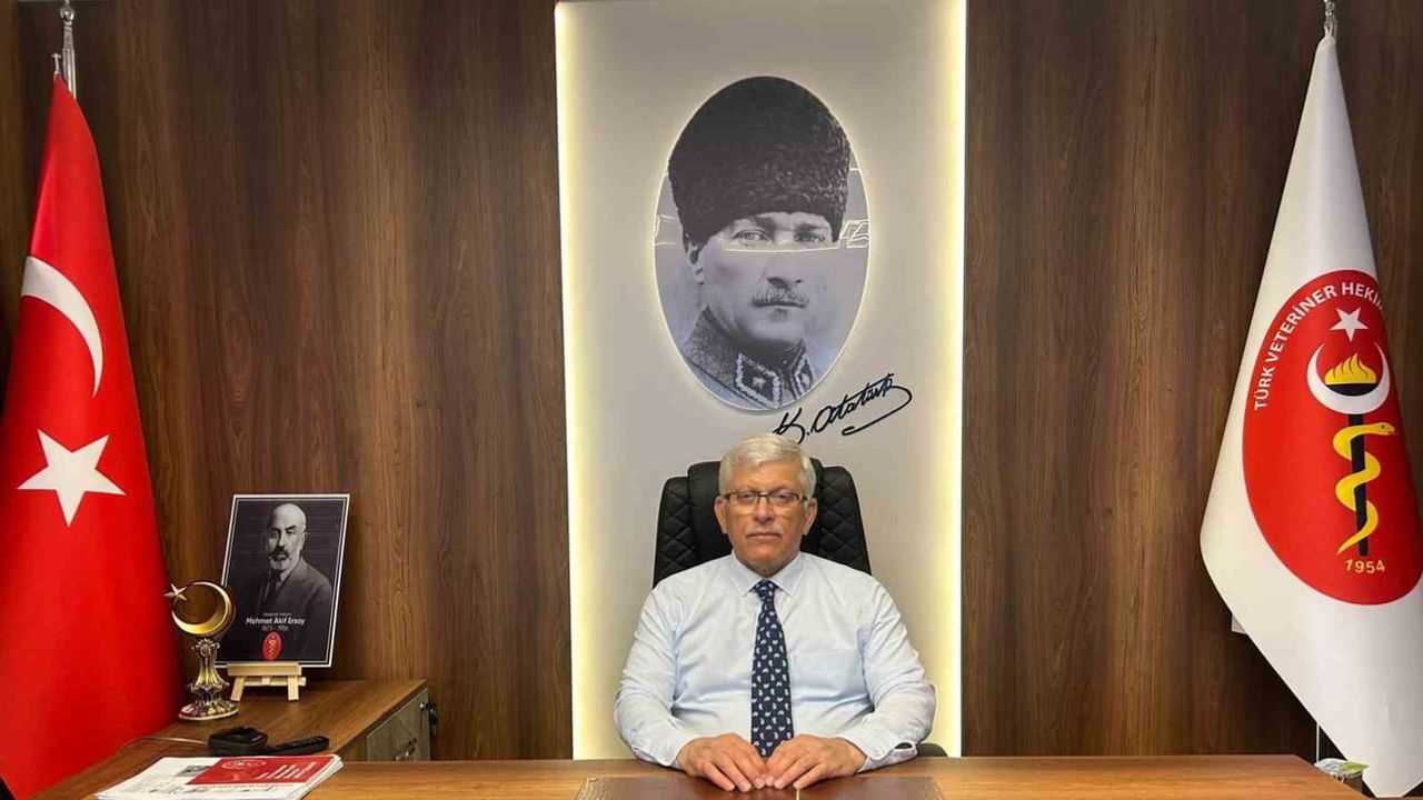 Yumurta: besin değeri, güvenliği ve Türkiye'nin üretim potansiyeli