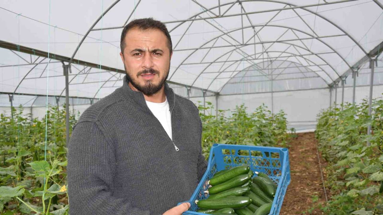 Yüzde 50 hibe ile kurulan seralar Şenoba'da aile bütçesini güçlendiriyor