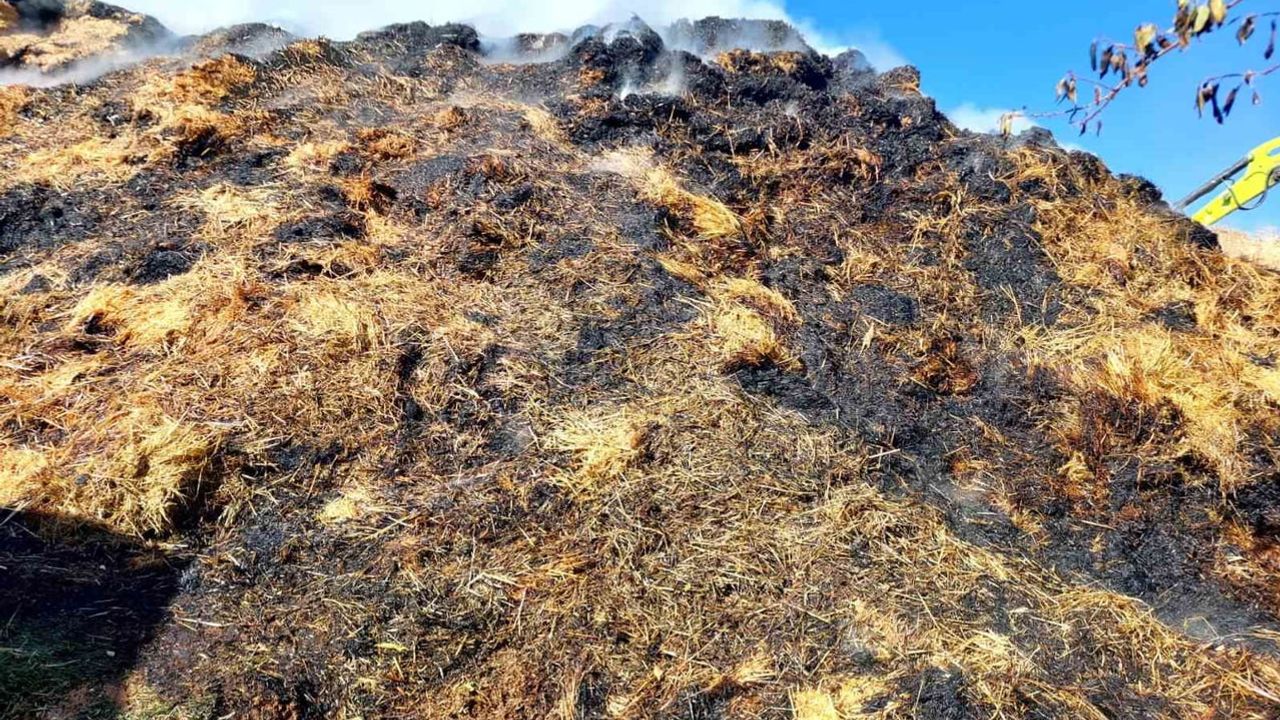 yüzlerce balyanın küle dönüğü yangında köy halkı destek oldu