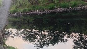 Gönen Çayı’nda kirlilik kritik seviyede: Üniversite ekiplerinden acil eylem çağrısı