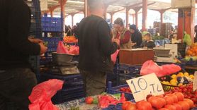 Çanakkale domatesinde son hasatta fiyat gerilemesi: Tezgâhta 40 TL'den 10 TL'ye kadar