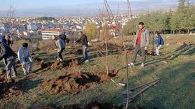 Sandıklı'da SANDER, Tepe Kent 'Bademlik' Alanına Yaklaşık 100 Badem Fidanı Dikti