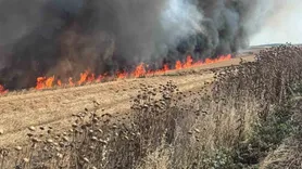 Çorlu'da buğday tarlasında yangın kontrol altına alındı