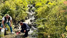 Uzungöl çevresindeki derelere 15 bin kırmızı benekli yavru alabalık bırakıldı