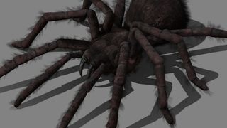 Böceklerden esinlenerek yapılan CLARI adlı robot herkesi şaşırttı