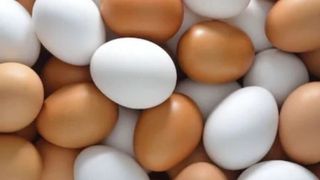 Organik tavuk yumurtalarını böyle fiyata bulamazsınız! Yüzde 25 indirim başlatıldı